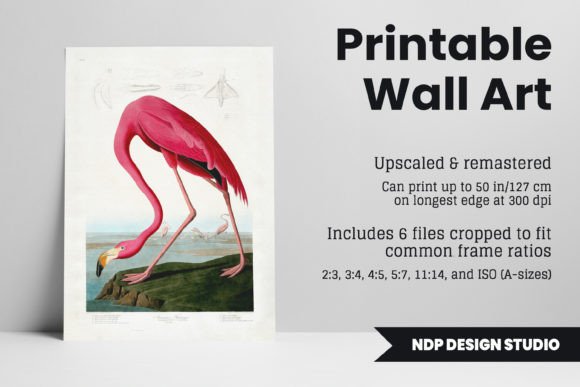 Download Flamingo Printable Wall Art Poster - Flamingo printable Collection