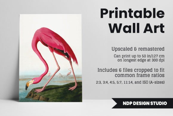 Download Vintage Pink Flamingo Printable Wall Art - Flamingo printable Collection